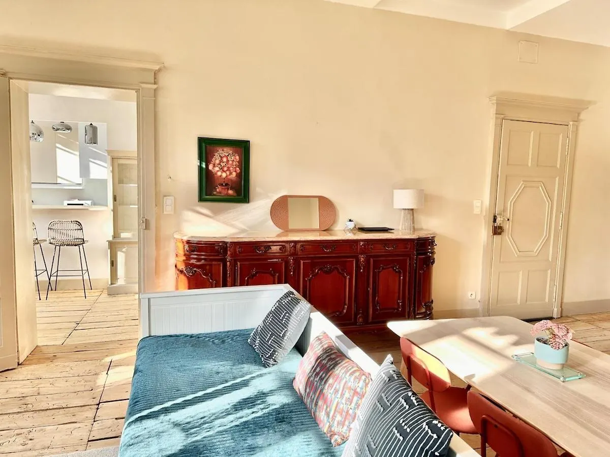 Grand Appartement Standing Lit King Size Capitole Toulouse