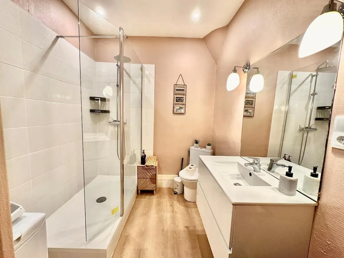 Grand Appartement Standing Lit King Size Capitole Toulouse
